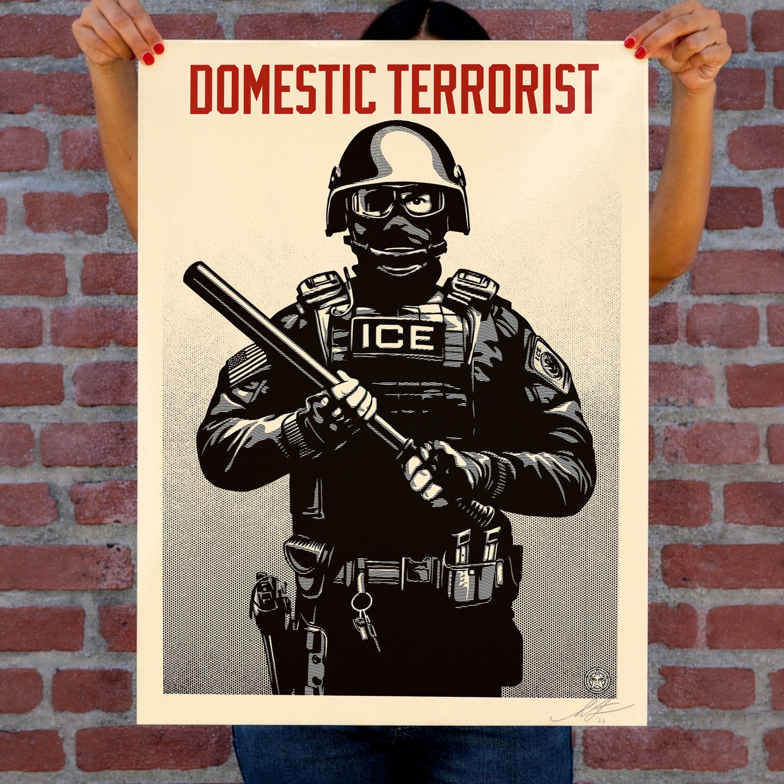 Projection Mirror: Domestic Terrorist Signed Offset by Shepard Fairey